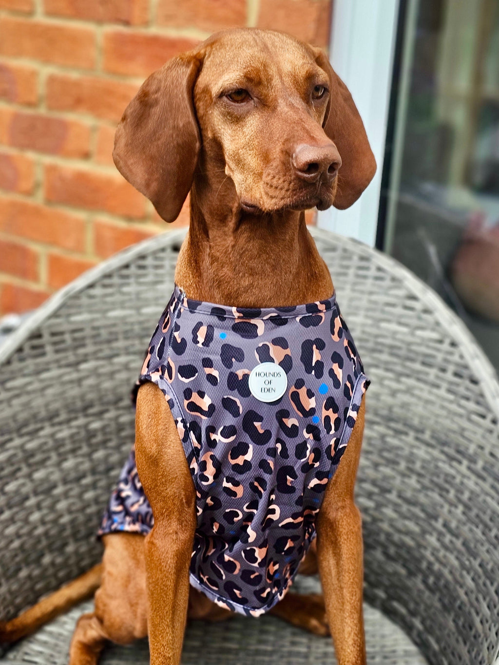 Steel Leopard Dog Cooling Vest